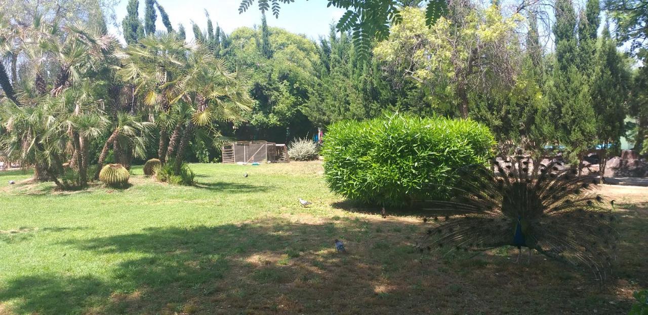 Apartamento Belsol Τορεβιέχα Εξωτερικό φωτογραφία