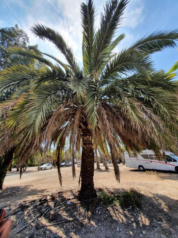 Apartamento Belsol Τορεβιέχα Εξωτερικό φωτογραφία